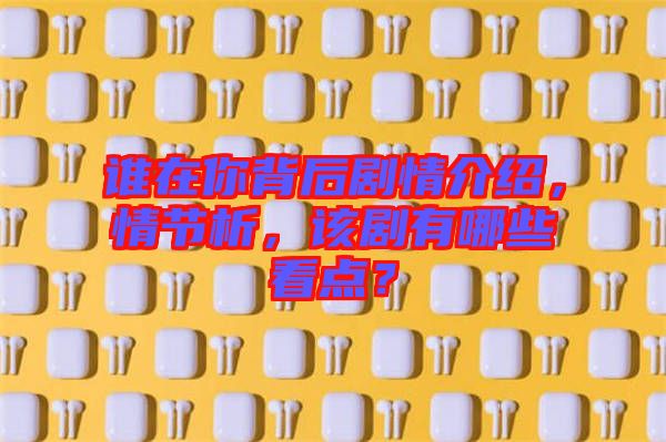 誰在你背后劇情介紹，情節(jié)析，該劇有哪些看點？