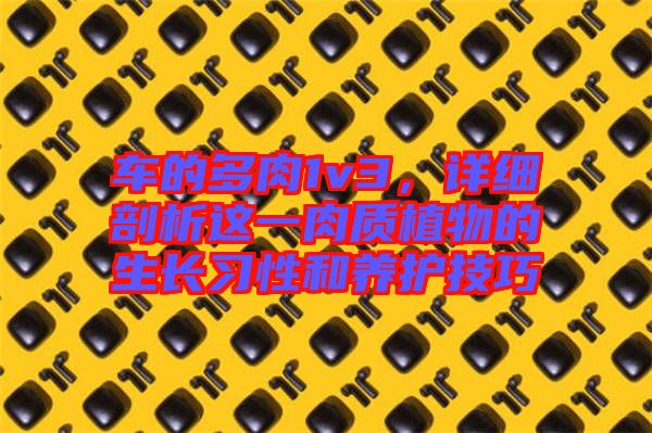 車的多肉1v3，詳細剖析這一肉質(zhì)植物的生長習(xí)性和養(yǎng)護技巧