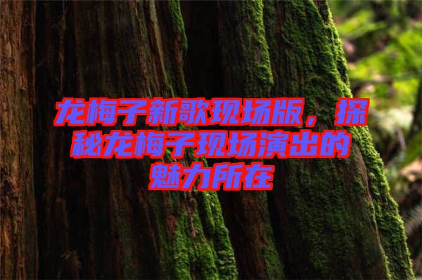 龍梅子新歌現場版，探秘龍梅子現場演出的魅力所在