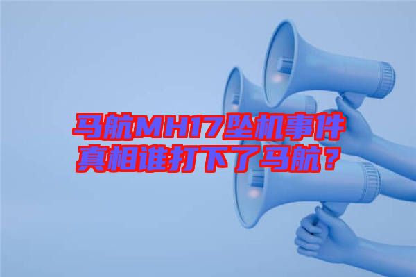 馬航MH17墜機(jī)事件真相誰打下了馬航？