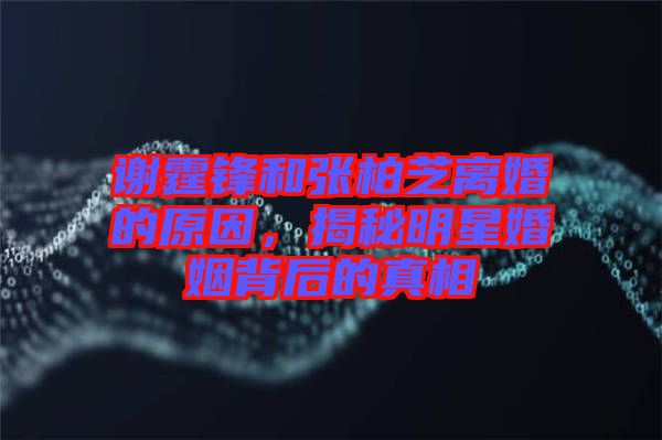 謝霆鋒和張柏芝離婚的原因，揭秘明星婚姻背后的真相