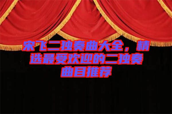 宋飛二獨(dú)奏曲大全，精選最受歡迎的二獨(dú)奏曲目推薦