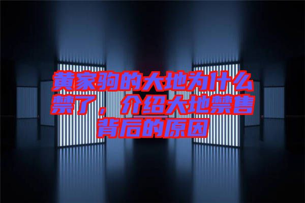 黃家駒的大地為什么禁了，介紹大地禁售背后的原因