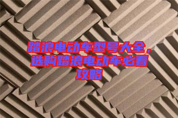 踏浪電動(dòng)車型號(hào)大全，選購(gòu)踏浪電動(dòng)車必看攻略