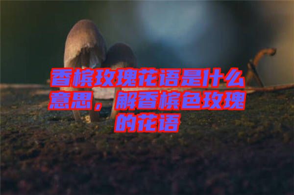 香檳玫瑰花語(yǔ)是什么意思，解香檳色玫瑰的花語(yǔ)