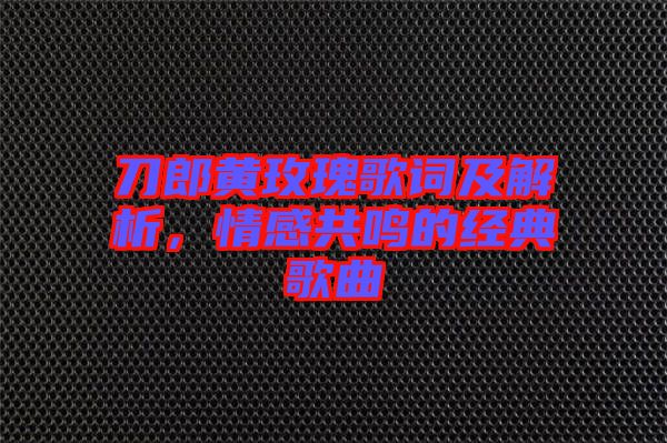 刀郎黃玫瑰歌詞及解析，情感共鳴的經(jīng)典歌曲