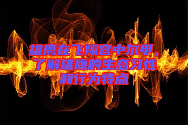 雄鷹在飛翔容中爾甲，了解雄鷹的生態(tài)習(xí)性和行為特點