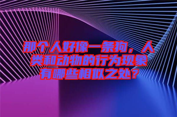 那個人好像一條狗，人類和動物的行為現(xiàn)象有哪些相似之處？