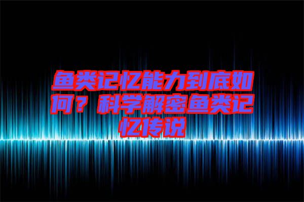 魚類記憶能力到底如何？科學(xué)解密魚類記憶傳說