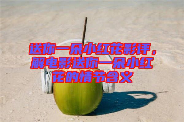 送你一朵小紅花影評，解電影送你一朵小紅花的情節(jié)含義