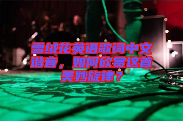 雪絨花英語(yǔ)歌詞中文諧音，如何欣賞這首美妙旋律？