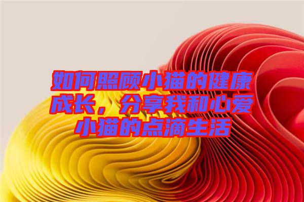 如何照顧小貓的健康成長，分享我和心愛小貓的點滴生活