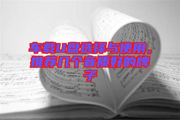 車載U盤選擇與使用，推薦幾個音質(zhì)好的牌子