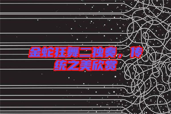 金蛇狂舞二獨奏，傳統(tǒng)之美欣賞