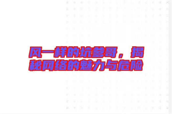 風(fēng)一樣的坑爹哥，揭秘網(wǎng)絡(luò)的魅力與危險