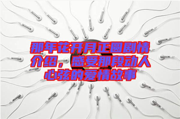 那年花開月正圓劇情介紹，感受那段動人心弦的愛情故事