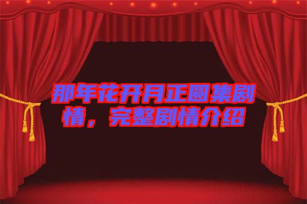 那年花開月正圓集劇情，完整劇情介紹