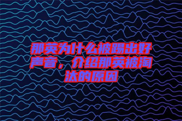 那英為什么被踢出好聲音，介紹那英被淘汰的原因