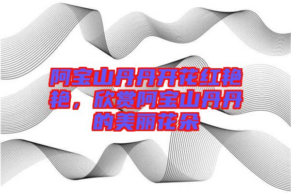 阿寶山丹丹開花紅艷艷，欣賞阿寶山丹丹的美麗花朵