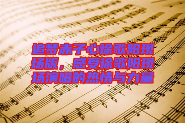 追夢(mèng)赤子心徐歌陽現(xiàn)場(chǎng)版，感受徐歌陽現(xiàn)場(chǎng)演唱的熱情與力量
