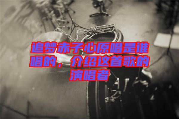 追夢(mèng)赤子心原唱是誰(shuí)唱的，介紹這首歌的演唱者