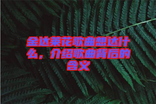 金達(dá)萊花歌曲想達(dá)什么，介紹歌曲背后的含義