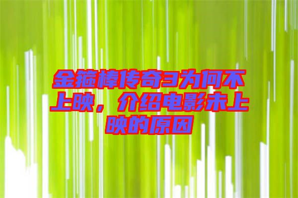 金箍棒傳奇3為何不上映，介紹電影未上映的原因
